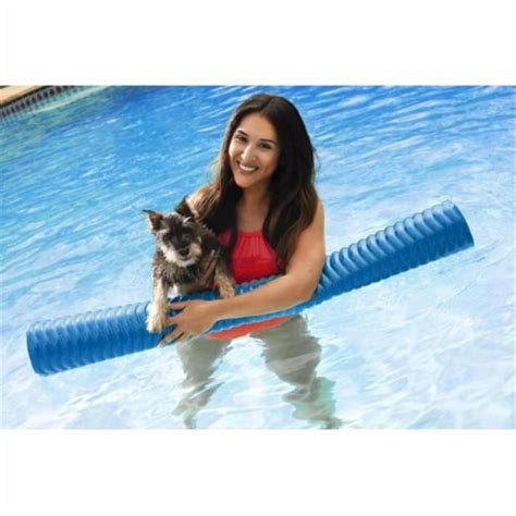 Immersa 850024899001deluxe Solid Jumbo Pool Noodle Dark Blue 1 Fry