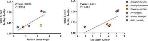 Phylogenetically Controlled Regression Between Proxies Of Sperm Download Scientific Diagram