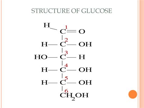 Solution Carbohydrate Ppt Converted Studypool