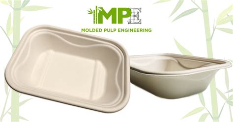 Sustainable Packaging Molded Pulp Engineering And Sustainability