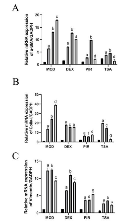 A Expression Of α Sma Mrna B Collagen I Mrna And C Vimentin Mrna