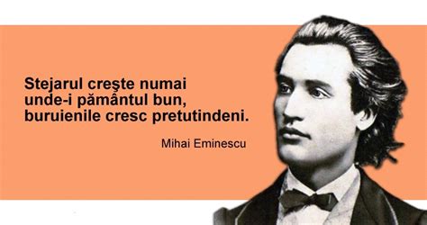 Acum 130 de ani trecea la cele veșnice Mihai Eminescu Istorie pe scurt