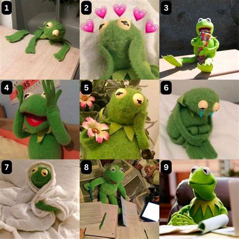 Kermit Faces Emotion Chart Emotion Chart Feelings Chart Fun At Work