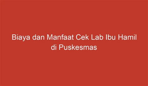 Biaya Dan Manfaat Cek Lab Ibu Hamil Di Puskesmas