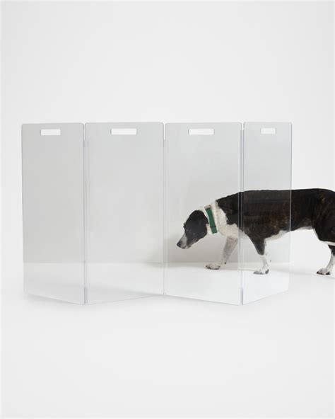 Hiddin Clear Freestanding Pet Gate Zig Zag 4 Panel Horchow