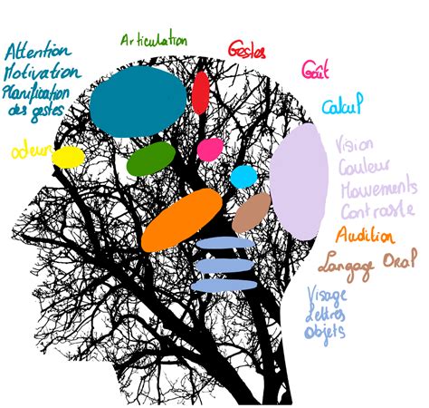 DYS Pour Qui Pour Quoi Centre Psy Neuropsy05