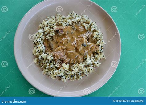 Beef Stroganoff and rice stock photo. Image of meal - 259943670