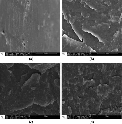 Sem Images Of Fractured Surfaces Of Pbat A Pbat C A B