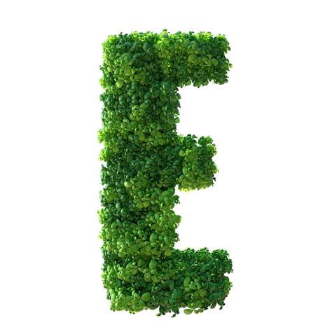 Lettre De L Alphabet 3d E Plante Verte Feuilles Herbe Mousse