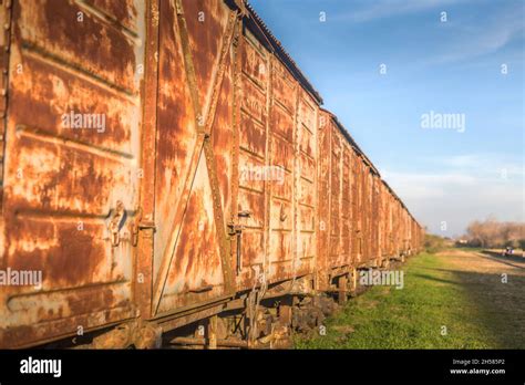 Group Of Abandoned And Rusted Train Cars Concept Of Abandoned Sites