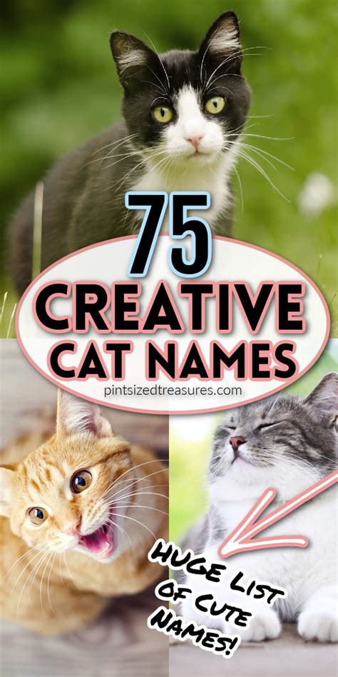 75 Extra Cute Cat Names · Pint-sized Treasures