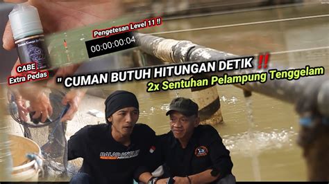 Racikan Umpan Ikan Mas Terbaru Terbukti Ikan Cepat Respon Cuman