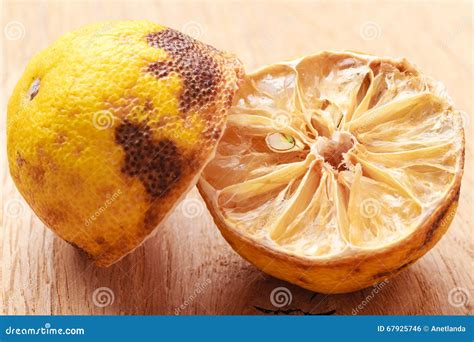 Closeup Old Rotten Lemon Stock Photo Image Of Lime Fungi 67925746