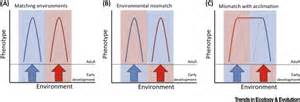 Evolution Of Plasticity Mechanistic Link Between Development And