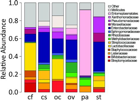 Mean Relative Abundance Of Prevalent Bacterial Families In The Gut Of