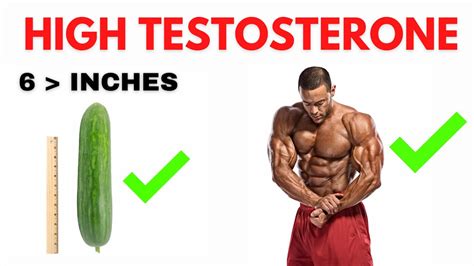 5 Benefits Of High Testosterone How To Get The Most Out Of Your Testosterone Level Youtube