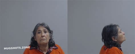 Borrego Noemi Pruneda Hidalgo County Mugshots Zone