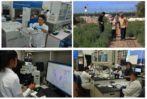 Aniversario Del Centro De Investigaciones Biol Gicas Del Noroeste