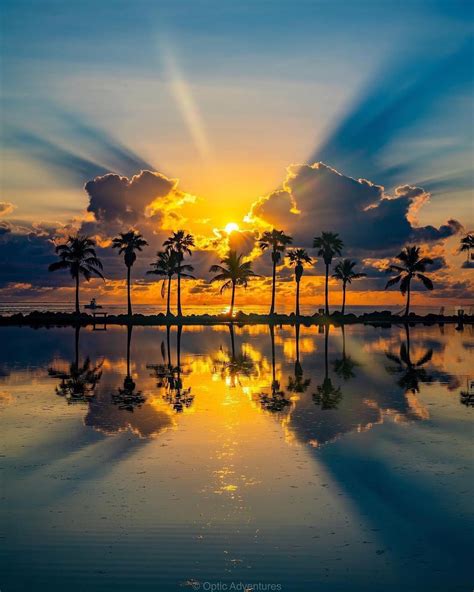 Epic Sunrisesunset Collection Of Miami Florida 🌅 Photography By