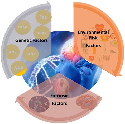 Frontiers Alzheimers Disease The Role Of Extrinsic Factors In Its