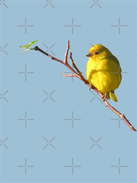 Canary T Shirt For Sale By CubeLove Redbubble Canary T Shirts