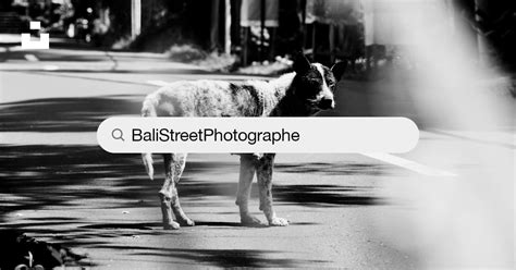 Balistreetphotographer Photos Télécharger Des Images Gratuites Sur