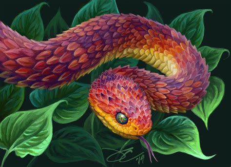 Bush Viper I by greyviolett on DeviantArt