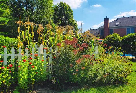 Professional Landscape Design — Our Land Organics Natural Landscaping Near Cincinnati