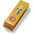 Amazon.com: Spark plug NGK DPR6EB-9 : Automotive