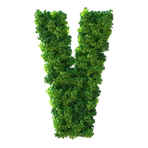 3d letra do alfabeto v a planta verde deixa a grama musgo manjericão