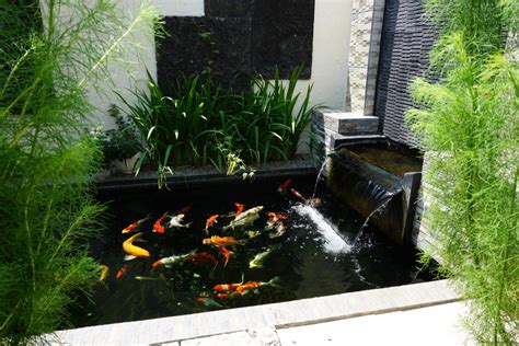 Kolam Ikan Minimalis Di Teras Rumah Homecare24