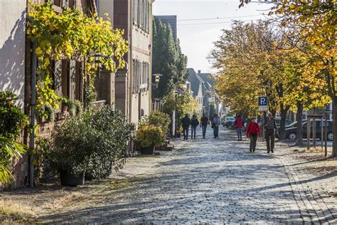 Theresienstrasse Infosystem