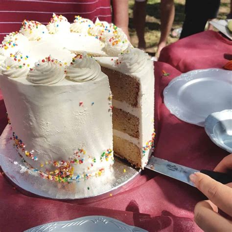 Simple Homemade Birthday Cake