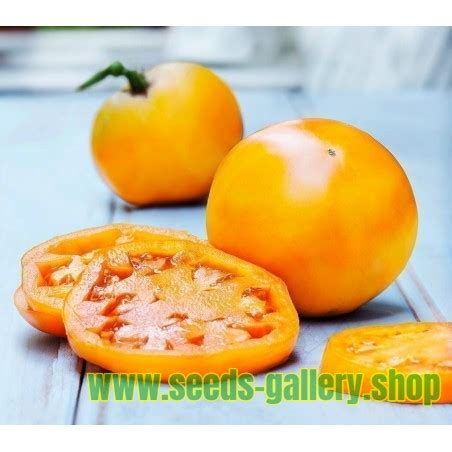 Golden Jubilee Tomato Seeds Price