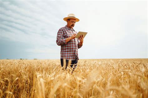 Conheça Os Impactos Da Tecnologia Na Agricultura Blog Da Ulbra