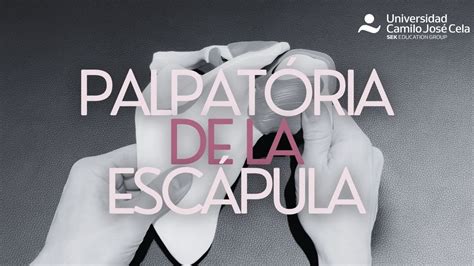 Conoce la anatomía palpatoria de la escápula YouTube