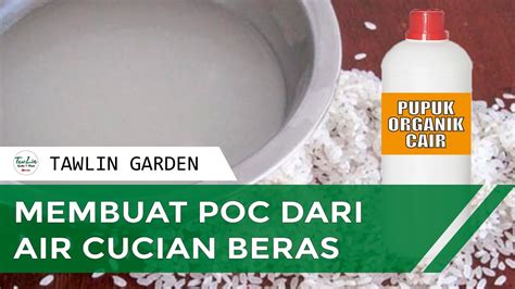 Cara Membuat Pupuk Organik Cair Dari Air Cucian Beras Youtube