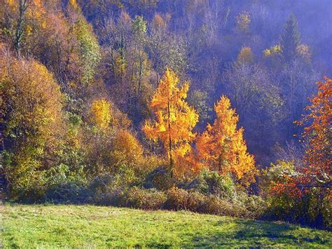 ITALIA IN AUTUNNO 10 LUOGHI DOVE AMMIRARE IL FOLIAGE Tourism Italia