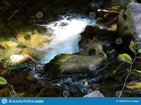 Idyll Sur Le Ruisseau De Montagne Qui Se Précipite Avec Une Eau Limpide