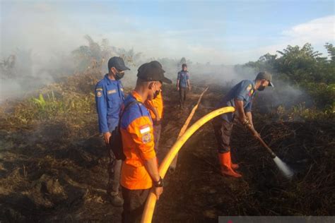 Hektare Lahan Kelapa Sawit Terbakar Di Aceh Antara News