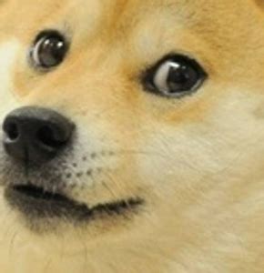 DOGE face Blank Template - Imgflip