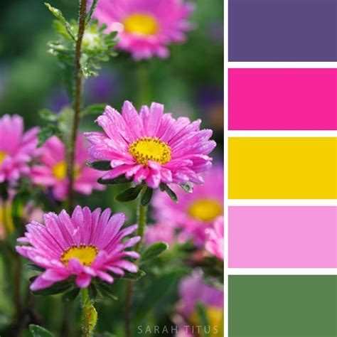 Pink Flower Color Palette For Home Decorating And Crafts