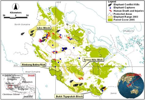 Mapping Sumatra's shrinking elephant habitat | WWF