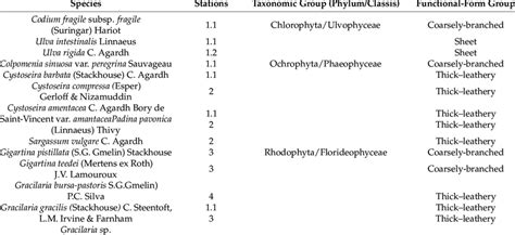 Macroalgae Species Stations Of Collection And Their Taxonomic