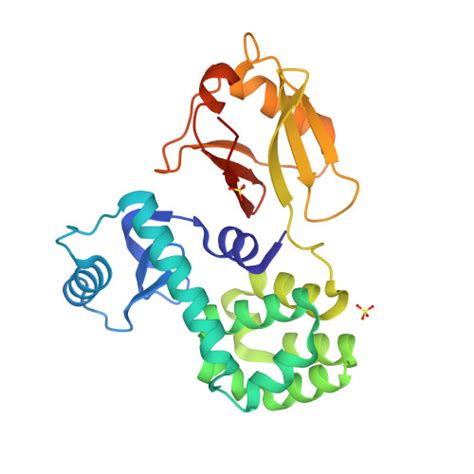 RCSB PDB 6JG0 Crystal Structure Of The N Terminal Domain Single