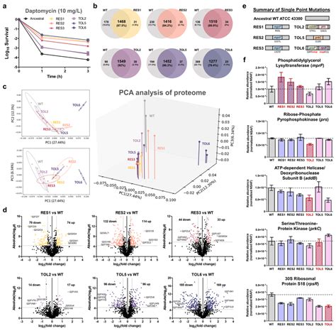 Proteome Profile Comparison Between The Tolerant Resistant Strains And