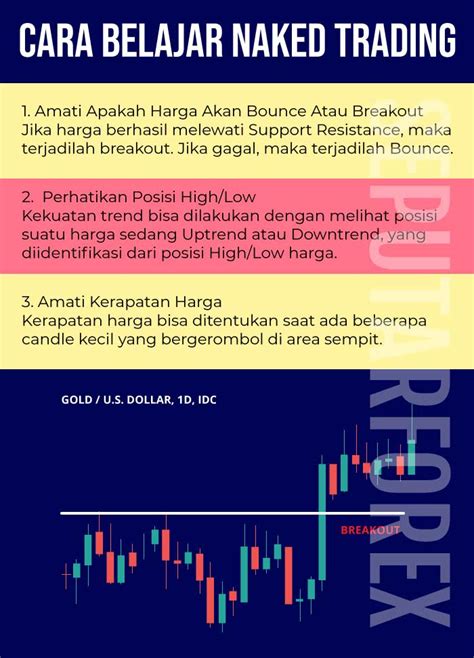 Cara Belajar Naked Trading Artikel Forex