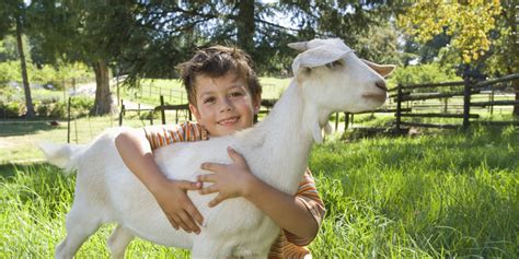 In Defense of Animals | HuffPost