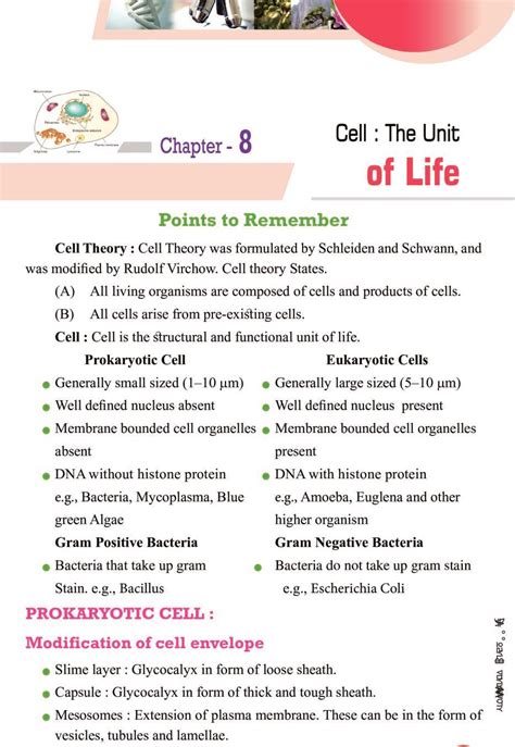 Biology Class Chapter Important Notes