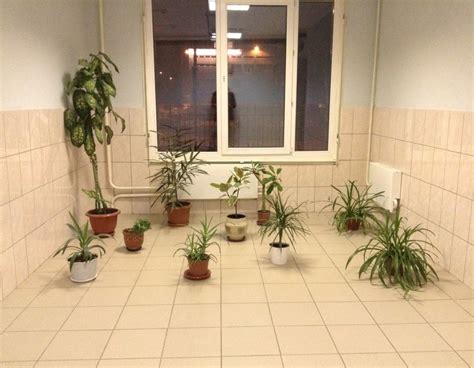 РУДН, Российский университет дружбы народов: адрес, сайт, приёмная ...